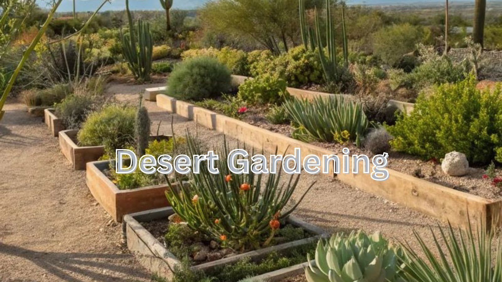 Desert Gardening Tips for Fresh Vegetables Anytime