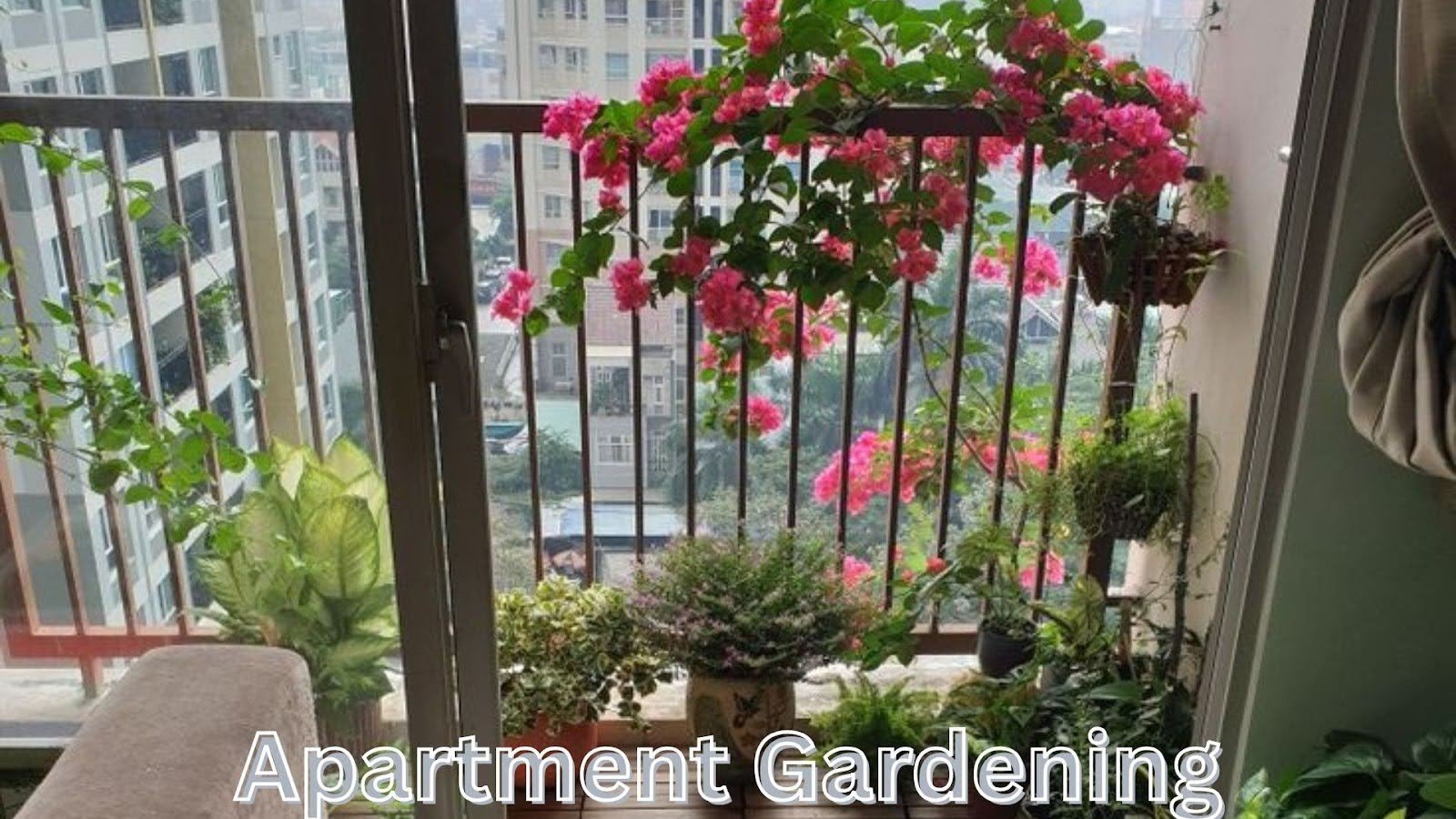 Easy Indoor Apartment Gardening Steps For Small Spaces